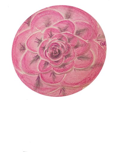 Rose fein Rose fein