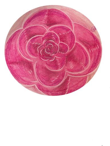 Pinke Blüte Punke Blüte