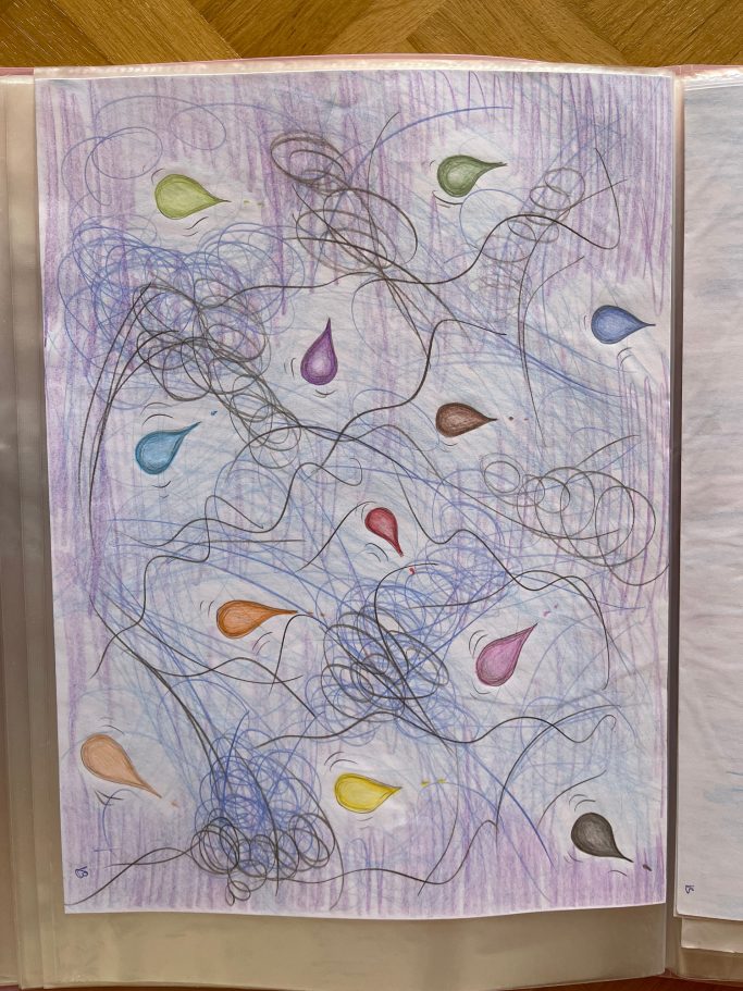 Bunt B15