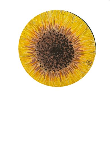 Sonnenblüte Sonnenblüte