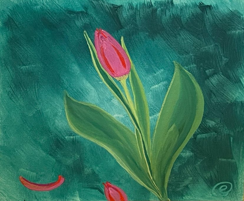 Tulpe Tulpe