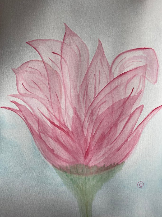 Lotusblüte Lotusblüte