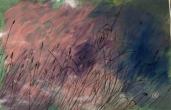 Blumenschatten Blumenschatten